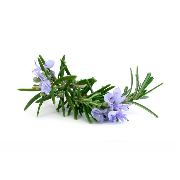 Rosemary